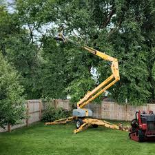 Best Leaf Removal  in Laughlin Af, TX